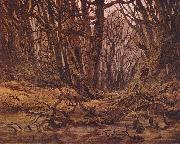 Caspar David Friedrich Wald im Spatherbst oil